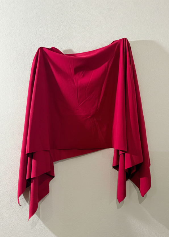 Maglia fucsia - sfondo neutro